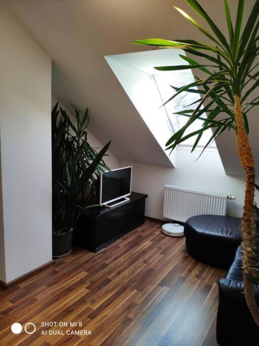 Tolle Wohnung In Zentraler Lage In Neu-Ulm Eksteriør billede