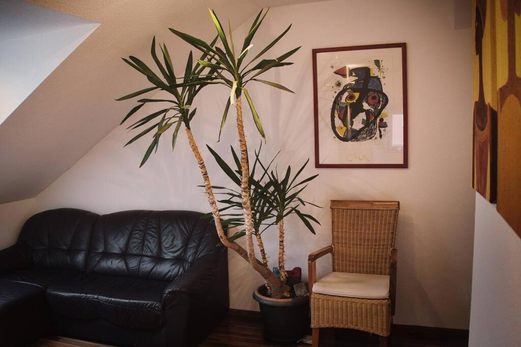 Tolle Wohnung In Zentraler Lage In Neu-Ulm Eksteriør billede