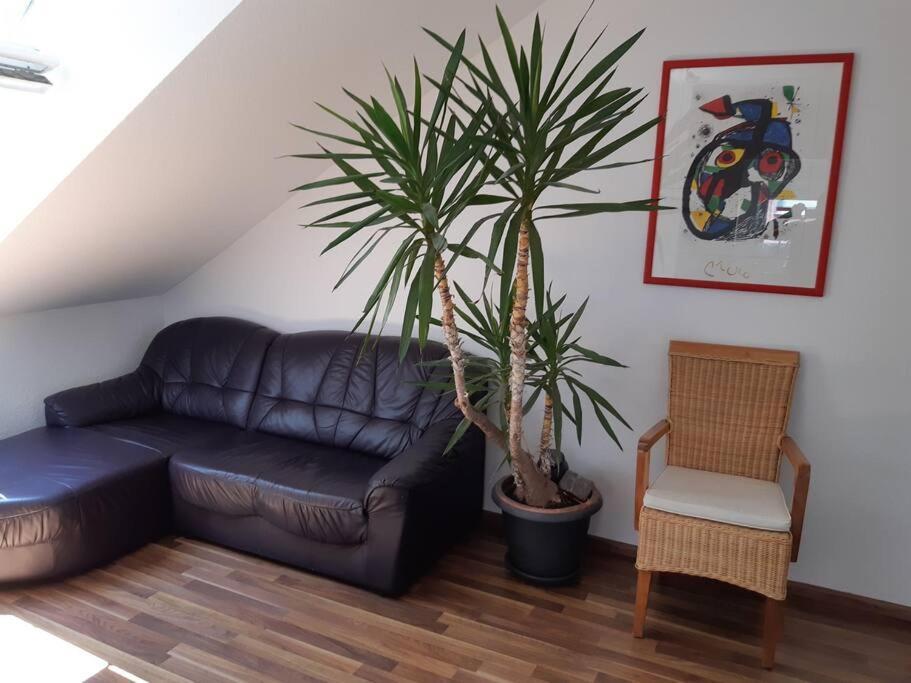 Tolle Wohnung In Zentraler Lage In Neu-Ulm Eksteriør billede
