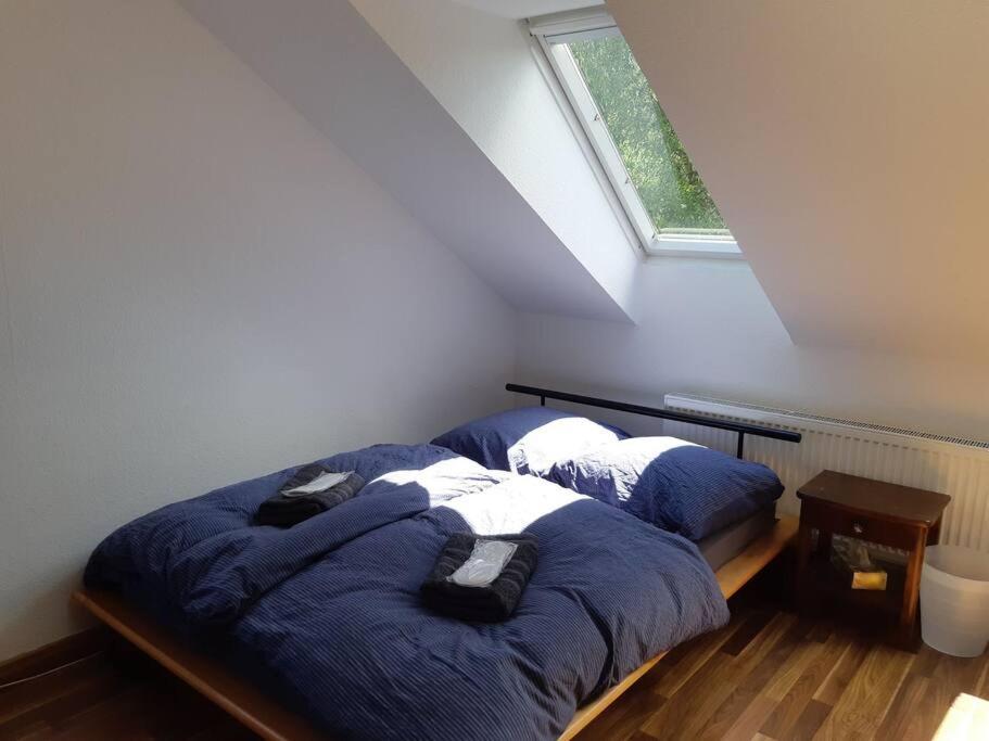 Tolle Wohnung In Zentraler Lage In Neu-Ulm Eksteriør billede